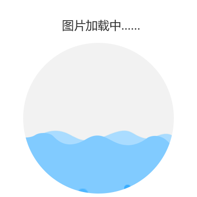大众 速腾 2007款 2.0 手自一体 舒适版